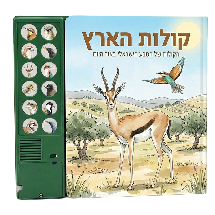 כריכה יום