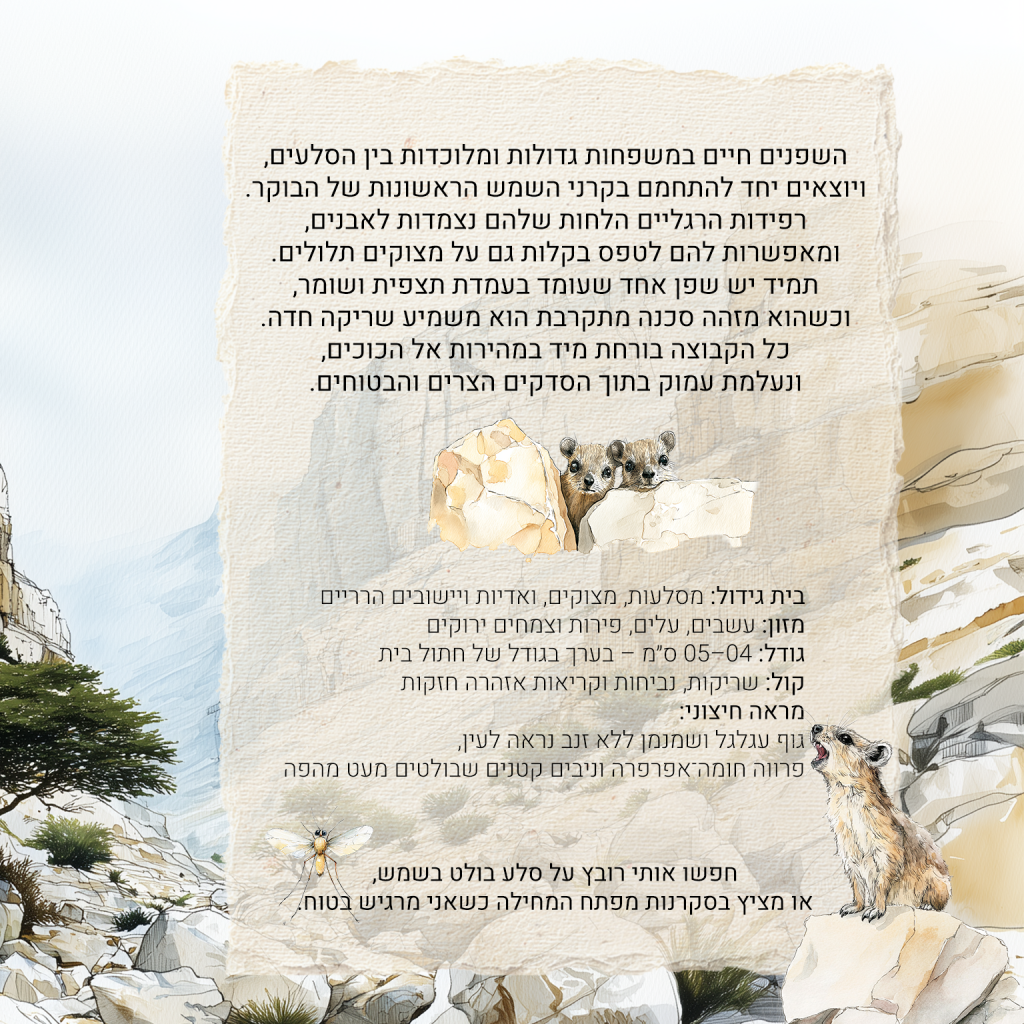 תיאורשפן סלע